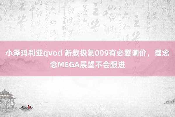 小泽玛利亚qvod 新款极氪009有必要调价，理念念MEGA展望不会跟进