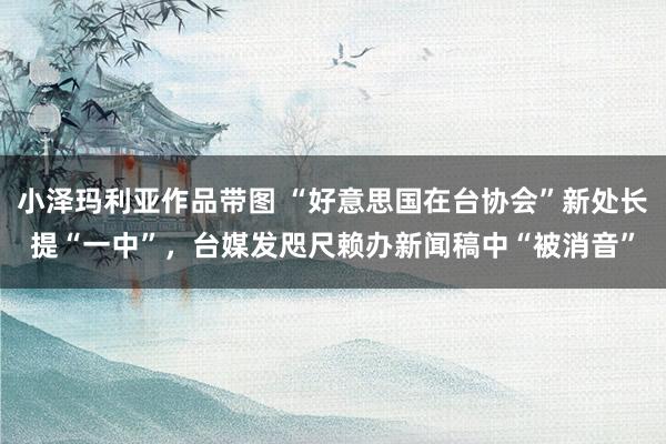 小泽玛利亚作品带图 “好意思国在台协会”新处长提“一中”，台媒发咫尺赖办新闻稿中“被消音”