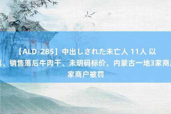 【ALD-285】中出しされた未亡人 11人 以假充真、销售落后牛肉干、未明码标价，内蒙古一地3家商户被罚