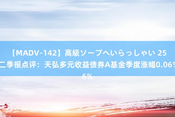 【MADV-142】高級ソープへいらっしゃい 25 二季报点评：天弘多元收益债券A基金季度涨幅0.06%