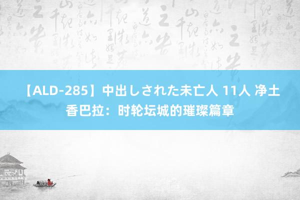 【ALD-285】中出しされた未亡人 11人 净土香巴拉：时轮坛城的璀璨篇章