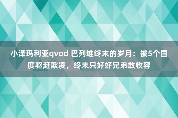 小泽玛利亚qvod 巴列维终末的岁月：被5个国度驱赶欺凌，终末只好好兄弟敢收容