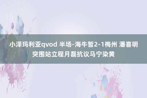 小泽玛利亚qvod 半场-海牛暂2-1梅州 潘喜明突围站立程月磊抗议马宁染黄