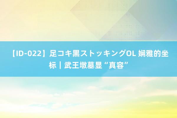 【ID-022】足コキ黒ストッキングOL 娴雅的坐标｜武王墩墓显“真容”