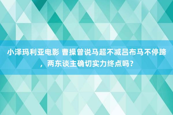 小泽玛利亚电影 曹操曾说马超不减吕布马不停蹄，两东谈主确切实力终点吗？