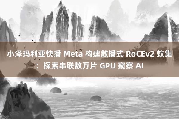 小泽玛利亚快播 Meta 构建散播式 RoCEv2 蚁集：探索串联数万片 GPU 窥察 AI