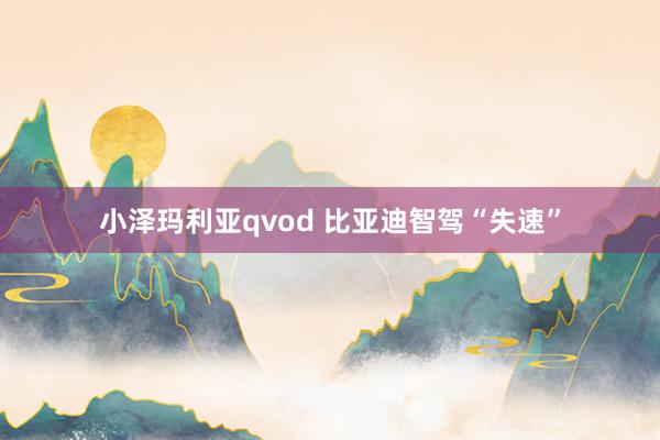 小泽玛利亚qvod 比亚迪智驾“失速”