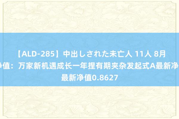 【ALD-285】中出しされた未亡人 11人 8月9日基金净值：万家新机遇成长一年捏有期夹杂发起式A最新净值0.8627