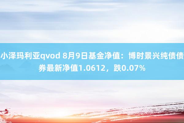 小泽玛利亚qvod 8月9日基金净值：博时景兴纯债债券最新净值1.0612，跌0.07%