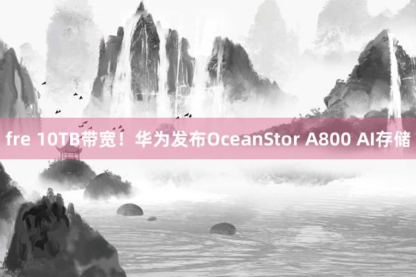 fre 10TB带宽！华为发布OceanStor A800 AI存储