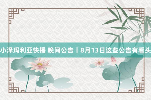 小泽玛利亚快播 晚间公告丨8月13日这些公告有看头