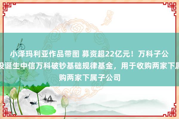 小泽玛利亚作品带图 募资超22亿元！万科子公司拟参投诞生中信万科破钞基础规律基金，用于收购两家下属子公司