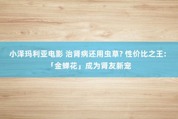 小泽玛利亚电影 治肾病还用虫草? 性价比之王: 「金蝉花」成为肾友新宠