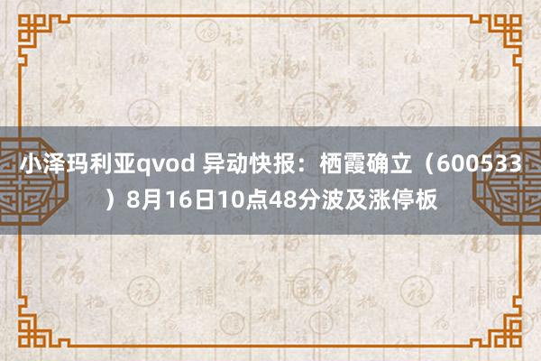 小泽玛利亚qvod 异动快报：栖霞确立（600533）8月16日10点48分波及涨停板