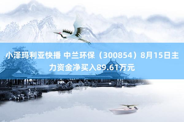 小泽玛利亚快播 中兰环保（300854）8月15日主力资金净买入89.61万元