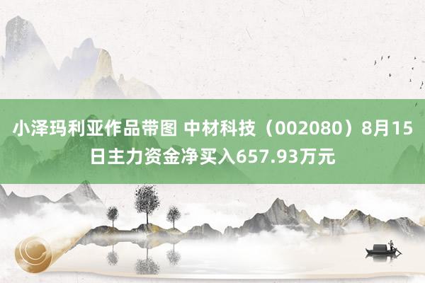 小泽玛利亚作品带图 中材科技（002080）8月15日主力资金净买入657.93万元