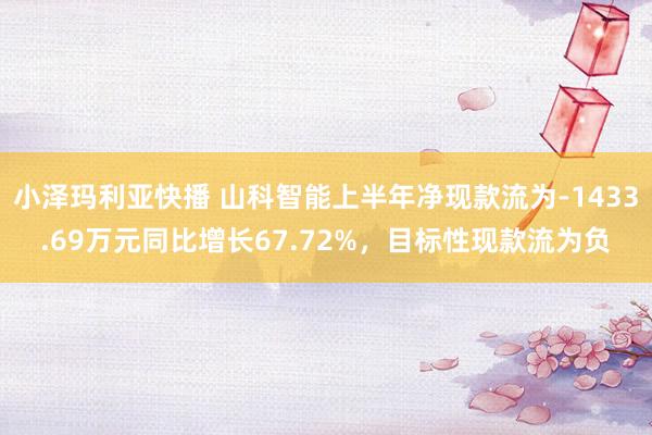 小泽玛利亚快播 山科智能上半年净现款流为-1433.69万元同比增长67.72%，目标性现款流为负