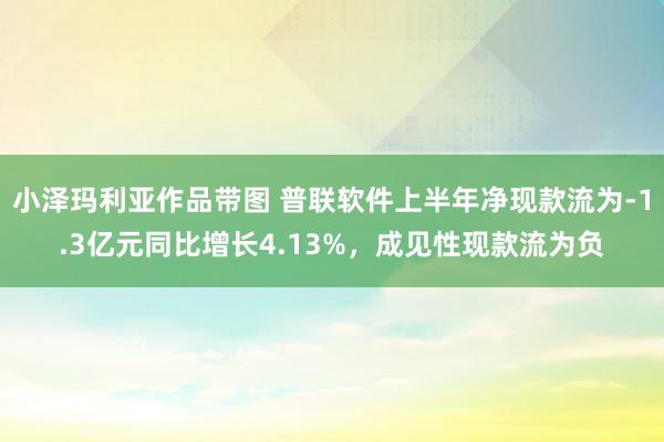 小泽玛利亚作品带图 普联软件上半年净现款流为-1.3亿元同比增长4.13%，成见性现款流为负