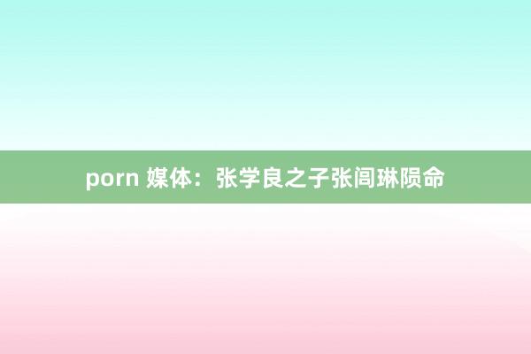 porn 媒体：张学良之子张闾琳陨命