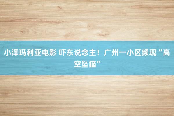 小泽玛利亚电影 吓东说念主！广州一小区频现“高空坠猫”