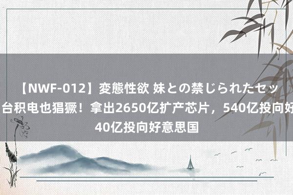 【NWF-012】変態性欲 妹との禁じられたセックス。 台积电也猖獗！拿出2650亿扩产芯片，540亿投向好意思国