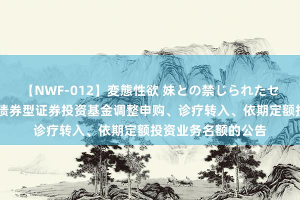 【NWF-012】変態性欲 妹との禁じられたセックス。 长城短债债券型证券投资基金调整申购、诊疗转入、依期定额投资业务名额的公告