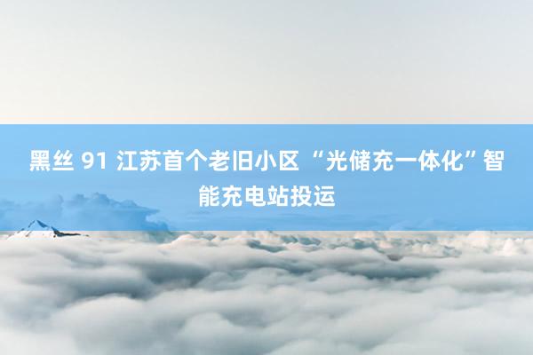 黑丝 91 江苏首个老旧小区 “光储充一体化”智能充电站投运