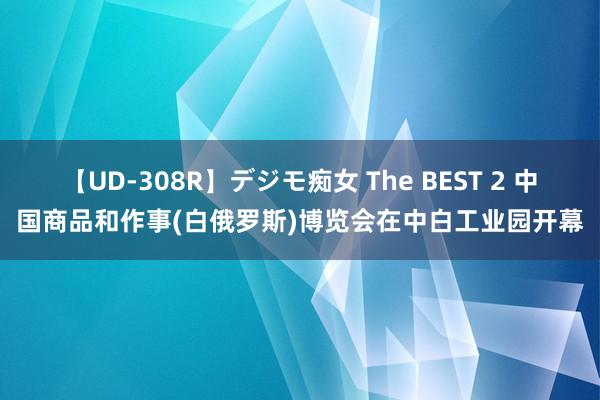 【UD-308R】デジモ痴女 The BEST 2 中国商品和作事(白俄罗斯)博览会在中白工业园开幕