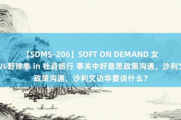 【SDMS-206】SOFT ON DEMAND 女子社員スペシャル野球拳 in 社員旅行 事关中好意思政策沟通，沙利文访华要谈什么？