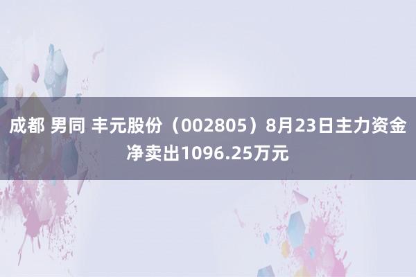 成都 男同 丰元股份（002805）8月23日主力资金净卖出1096.25万元