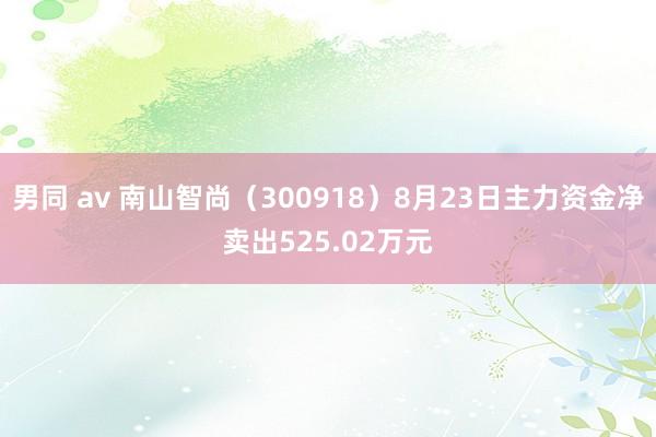 男同 av 南山智尚（300918）8月23日主力资金净卖出525.02万元