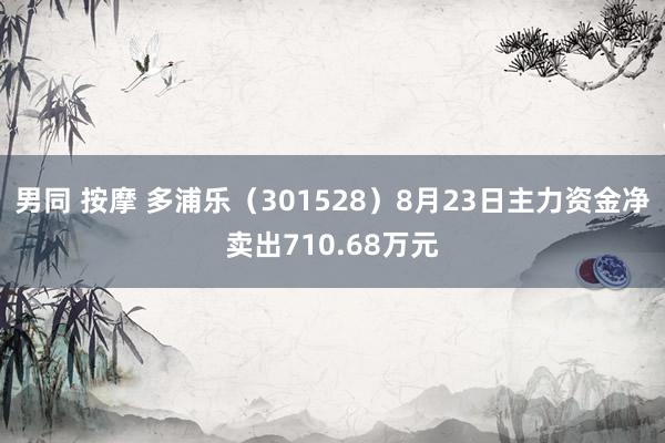 男同 按摩 多浦乐（301528）8月23日主力资金净卖出710.68万元