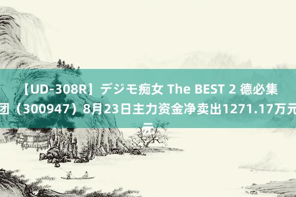 【UD-308R】デジモ痴女 The BEST 2 德必集团（300947）8月23日主力资金净卖出1271.17万元