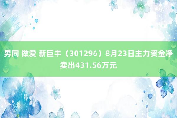 男同 做爱 新巨丰（301296）8月23日主力资金净卖出431.56万元