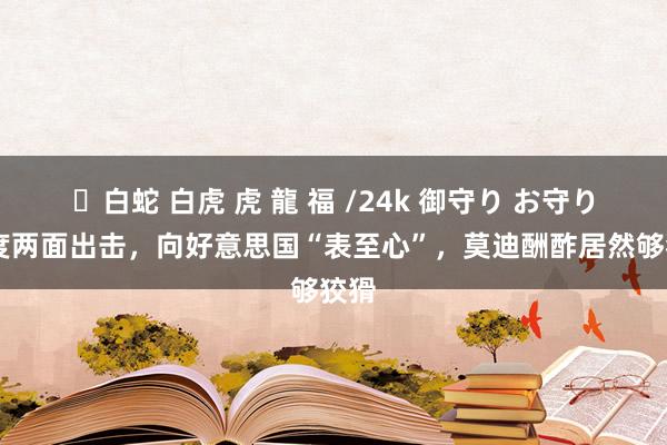 ✨白蛇 白虎 虎 龍 福 /24k 御守り お守り 印度两面出击，向好意思国“表至心”，莫迪酬酢居然够狡猾