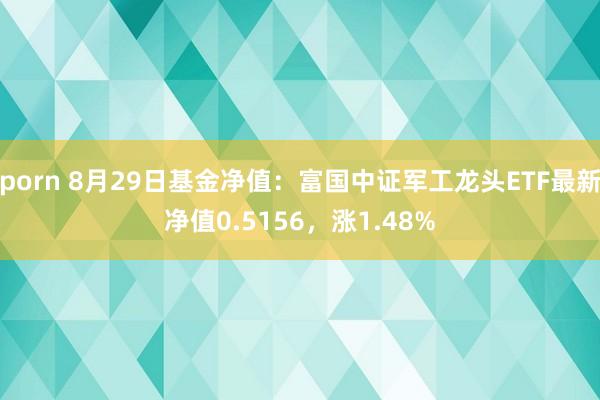 porn 8月29日基金净值：富国中证军工龙头ETF最新净值0.5156，涨1.48%