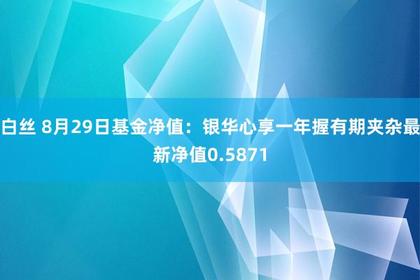 白丝 8月29日基金净值：银华心享一年握有期夹杂最新净值0.5871