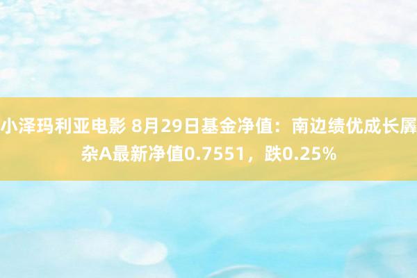 小泽玛利亚电影 8月29日基金净值：南边绩优成长羼杂A最新净值0.7551，跌0.25%