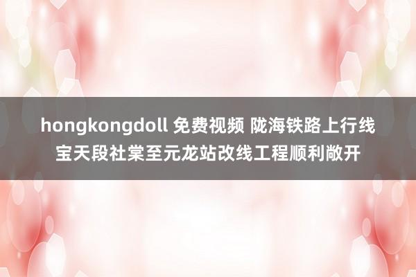 hongkongdoll 免费视频 陇海铁路上行线宝天段社棠至元龙站改线工程顺利敞开