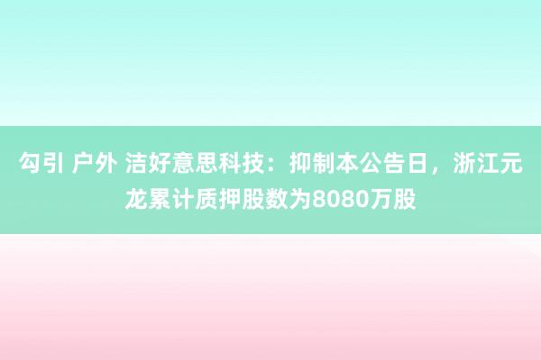 勾引 户外 洁好意思科技：抑制本公告日，浙江元龙累计质押股数为8080万股