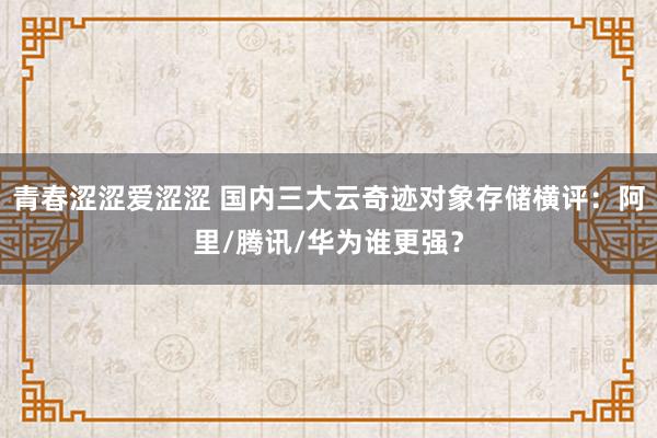 青春涩涩爱涩涩 国内三大云奇迹对象存储横评：阿里/腾讯/华为谁更强？