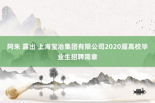 阿朱 露出 上海宝冶集团有限公司2020届高校毕业生招聘简章