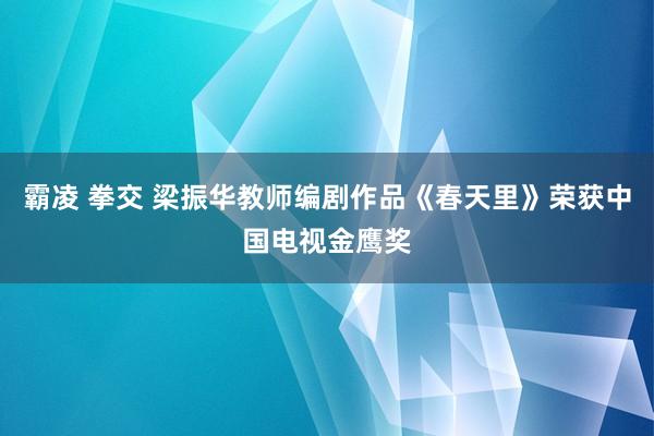 霸凌 拳交 梁振华教师编剧作品《春天里》荣获中国电视金鹰奖