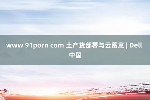 www 91porn com 土产货部署与云蓄意 | Dell 中国