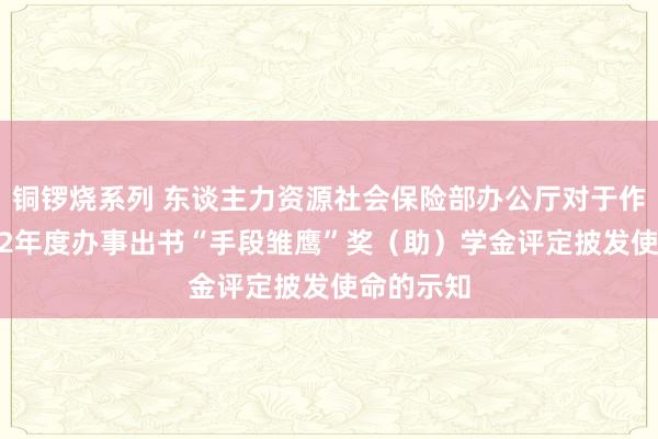 铜锣烧系列 东谈主力资源社会保险部办公厅对于作念好2022年度办事出书“手段雏鹰”奖（助）学金评定披发使命的示知