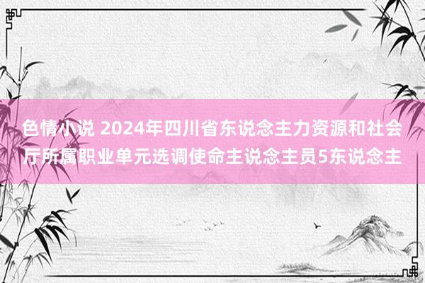 色情小说 2024年四川省东说念主力资源和社会厅所属职业单元选调使命主说念主员5东说念主