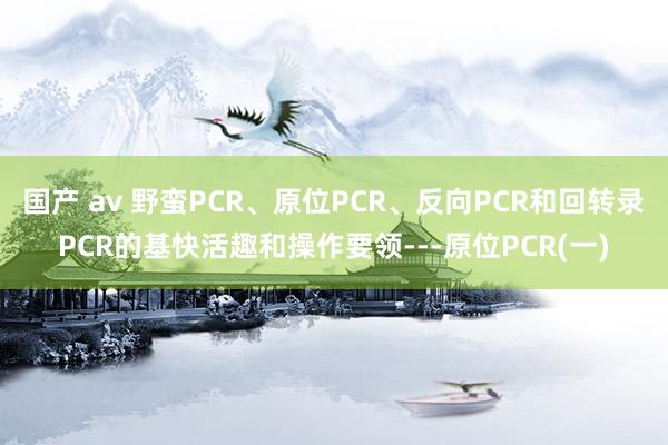 国产 av 野蛮PCR、原位PCR、反向PCR和回转录PCR的基快活趣和操作要领---原位PCR(一)